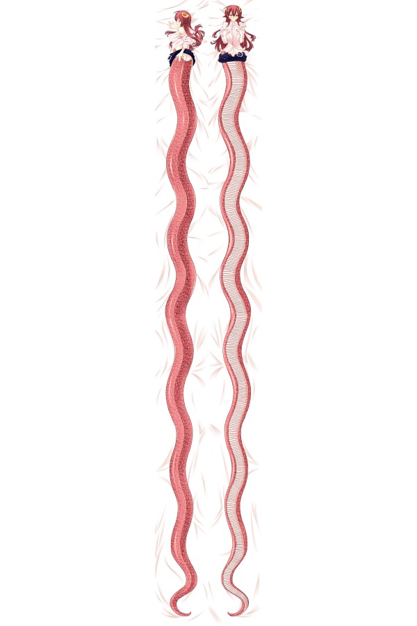 Monster Musume No Iru Nichijou Miia 50×700cm Anime Dakimakura Pillow Cover
