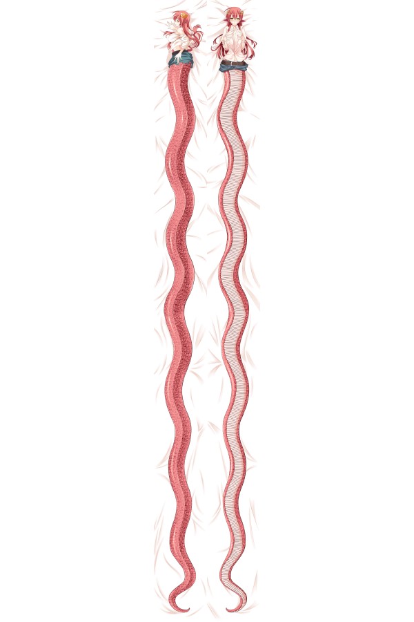 Monster Musume No Iru Nichijou Miia 50×700cm Anime Dakimakura Pillow Cover