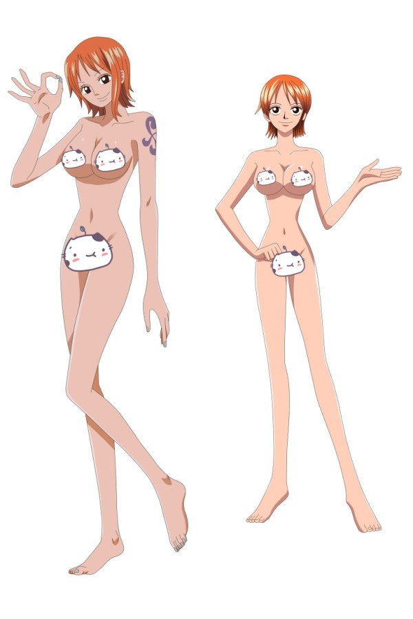 One Piece Nami Anime Dakimakura Pillow Cover