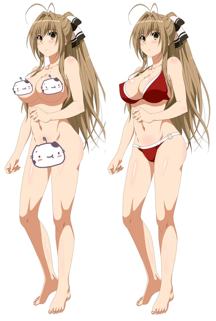 Amagi Brilliant Park Isuzu Sento Anime Dakimakura Pillow Cover