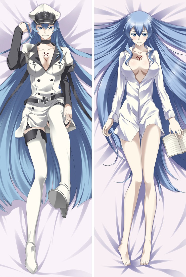 Akame Ga Kill! Esdeath Anime Dakimakura Pillow Case
