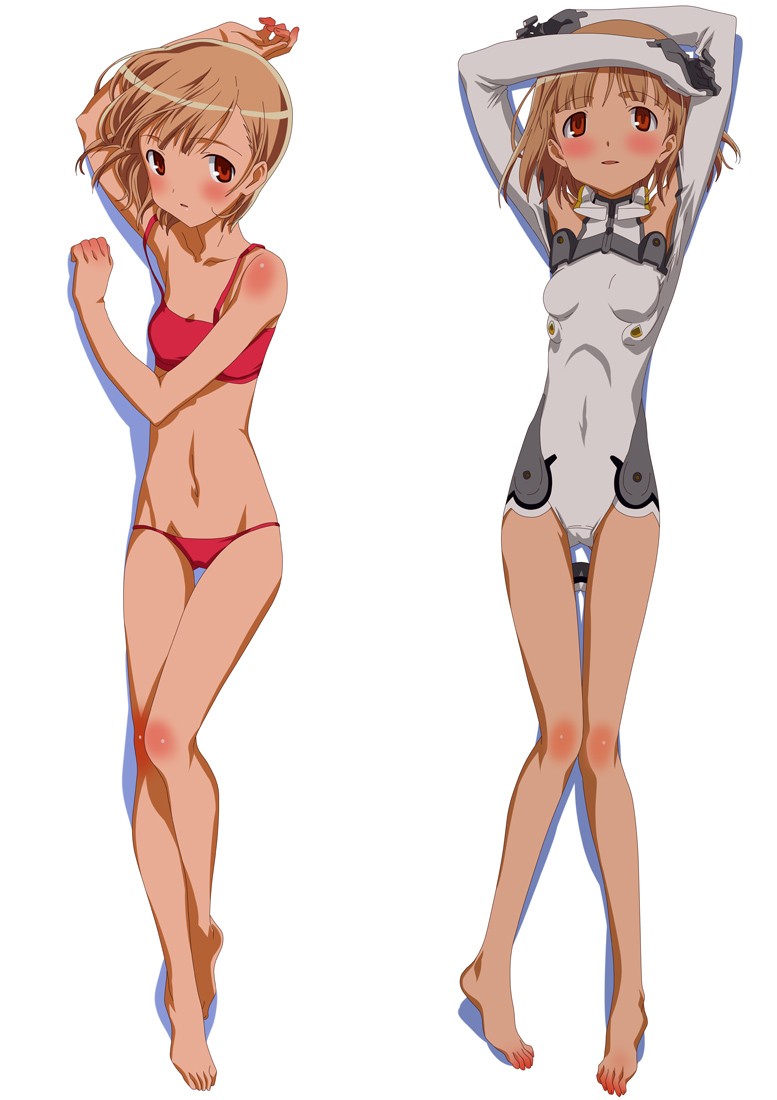 Sky Girls Anime Dakimakura Pillow Cover