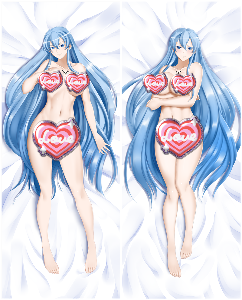 Akame Ga Kill! Esdeath Anime Dakimakura Pillow Cover