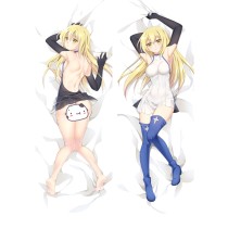 Is It Wrong to Try to Pick Up Girls in a Dungeon Aiz Wallenstein Anime Dakimakura Pillow Cover