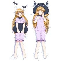 Galgame girl Anime Dakimakura Pillow Cover512040