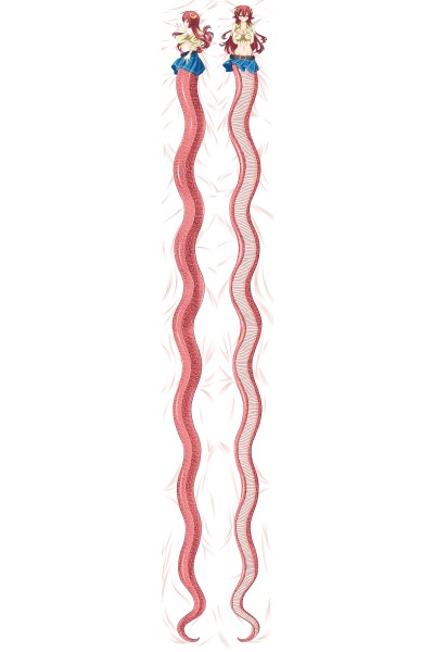 Monster Musume No Iru Nichijou Miia 50×700cm Anime Dakimakura Pillow Cover
