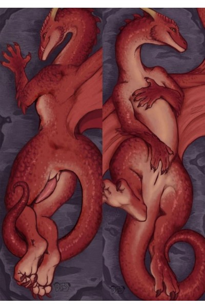 Orcs Western Dragon Anime Dakimakura Body Pillow Cover