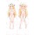 Goblin Slayer Priestess Anime Dakimakura Body Pillow Cover