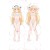 Goblin Slayer Priestess Anime Dakimakura Body Pillow Cover
